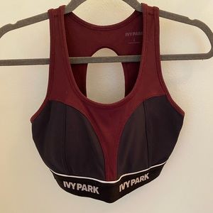 Ivy Park Sports Bra
